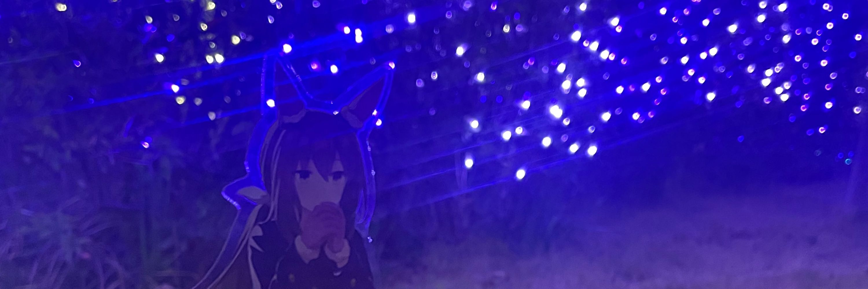 ホシ