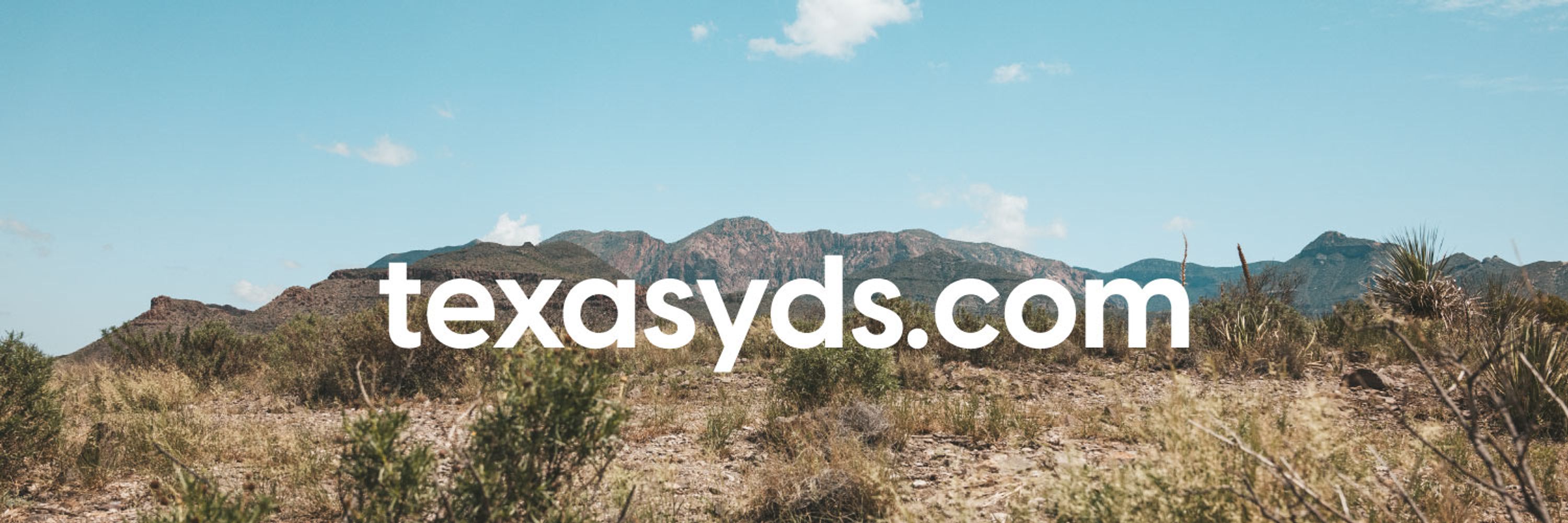 Texas Young Democrats