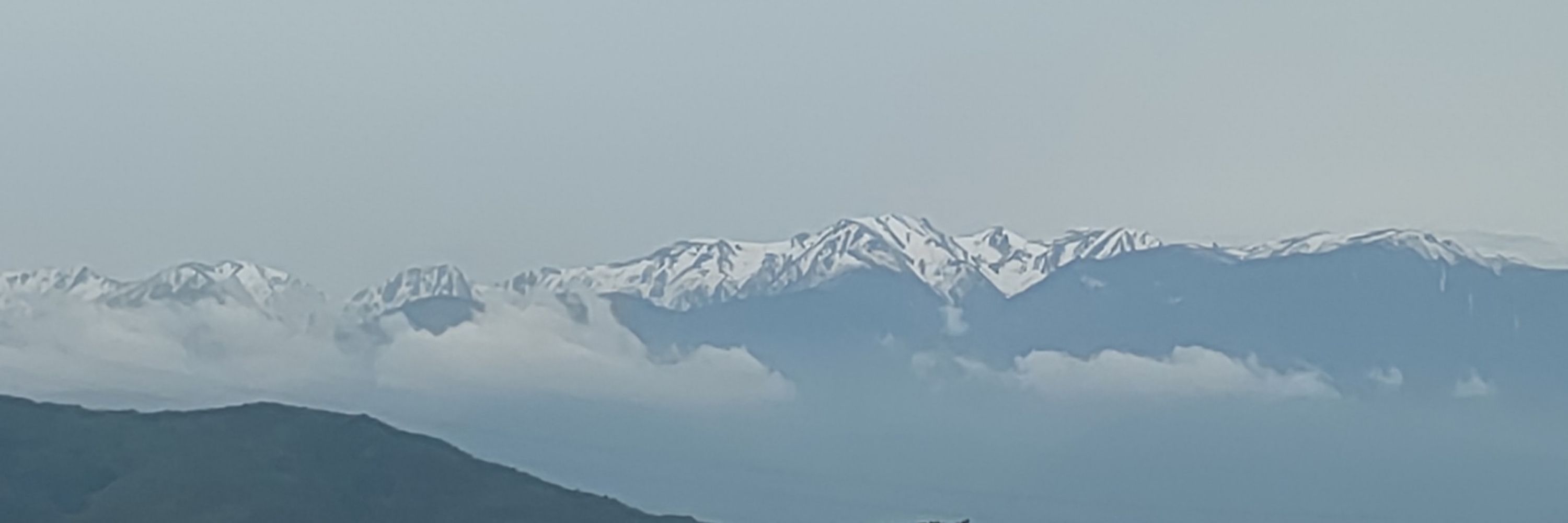 くろは