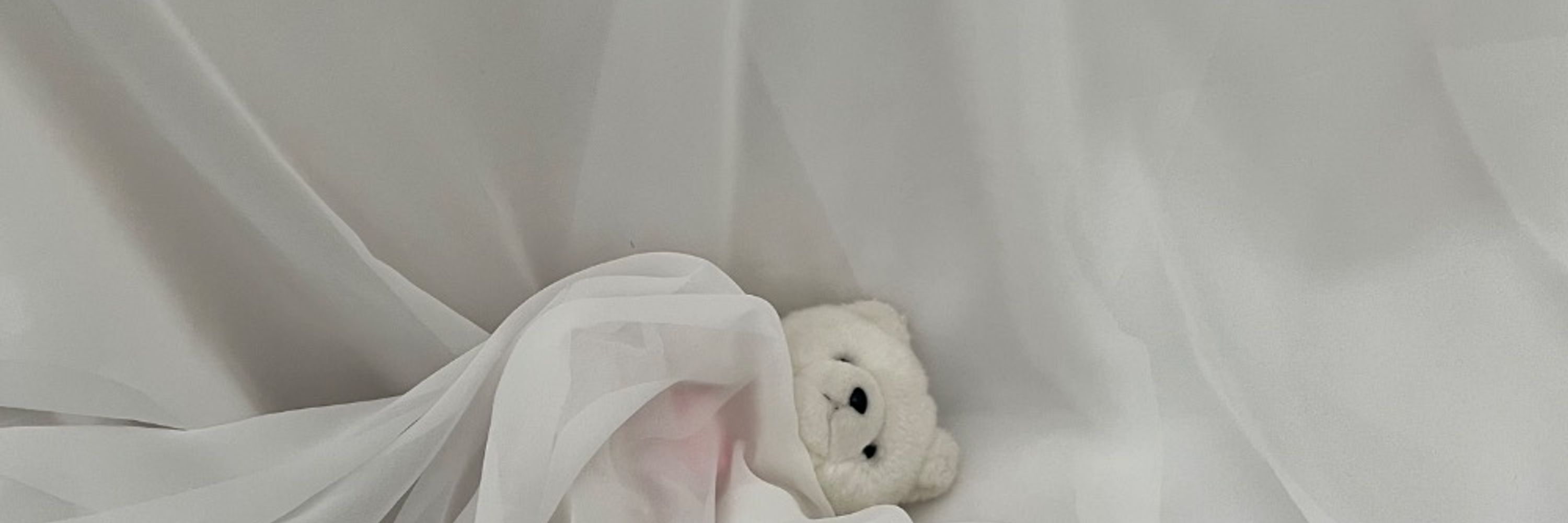 うちのクマは無罪である🐻‍❄️