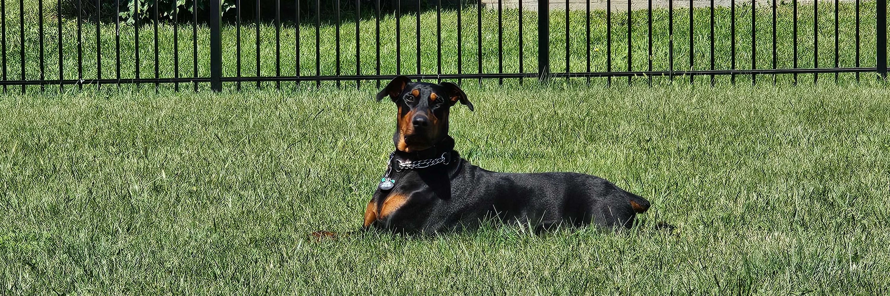 BruceOD