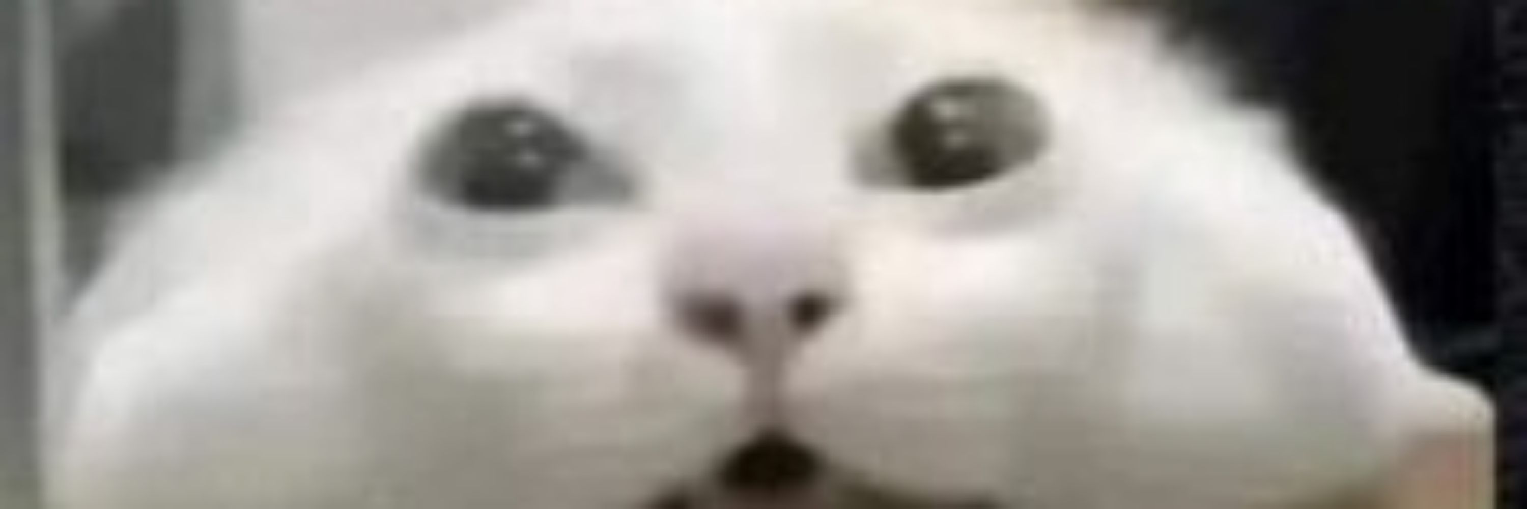 Люцик