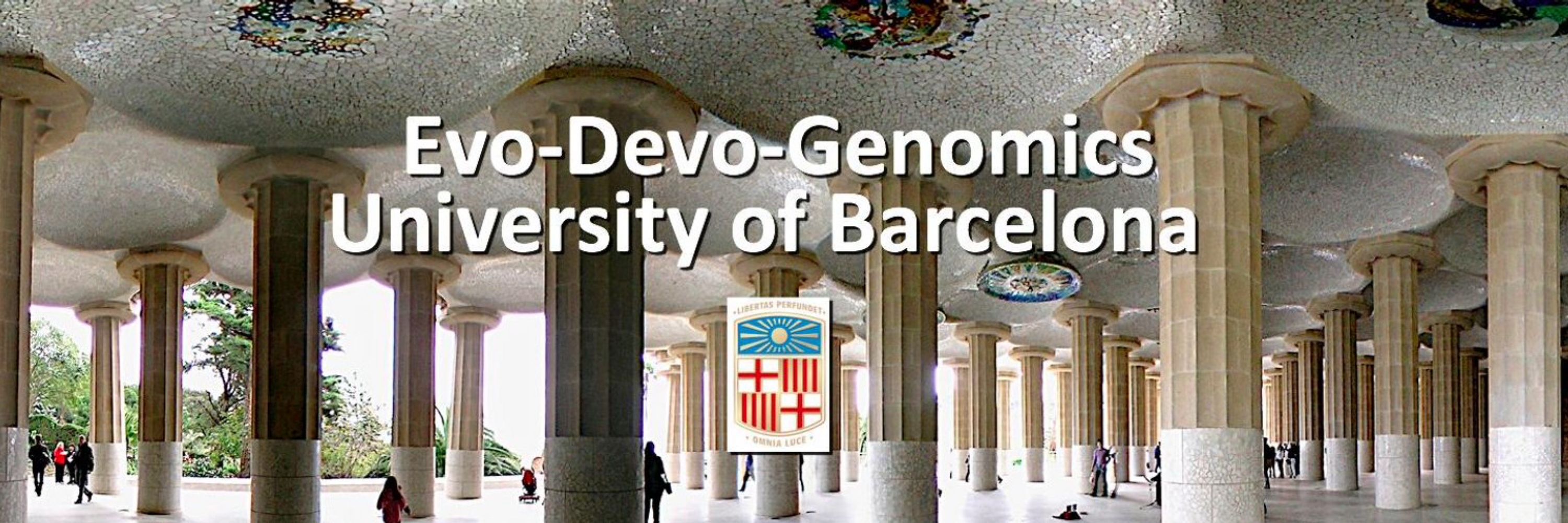 EvodevogenomeUB- Cañestro’s lab