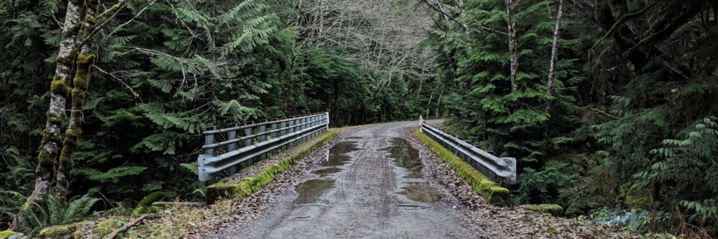 Clackamas DSA
