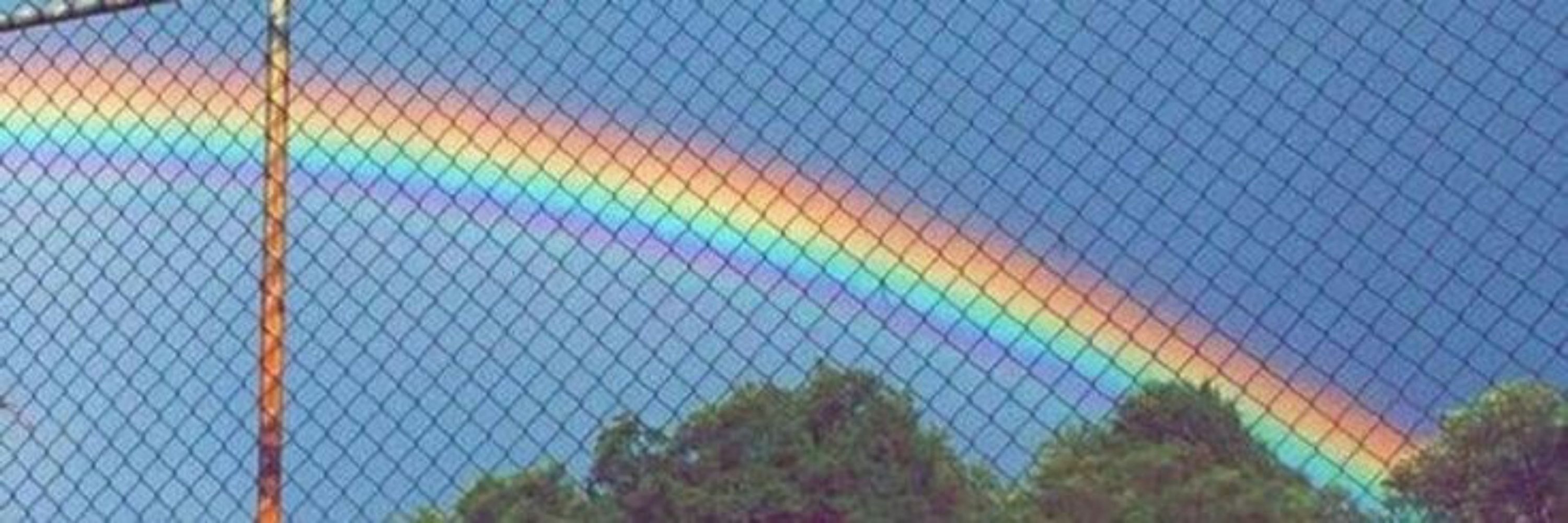 марій🏳️‍⚧️🏳️‍🌈