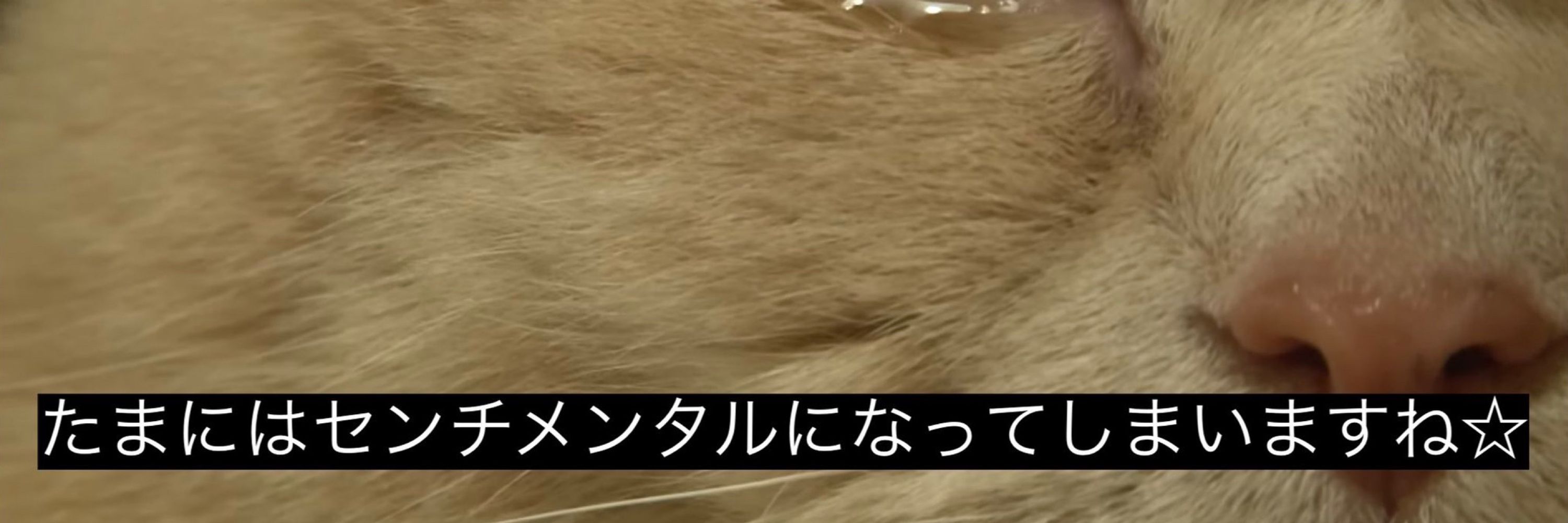 ポジT