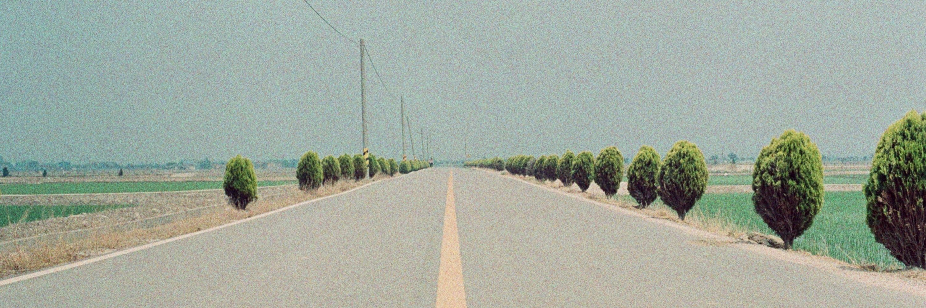 베나윤