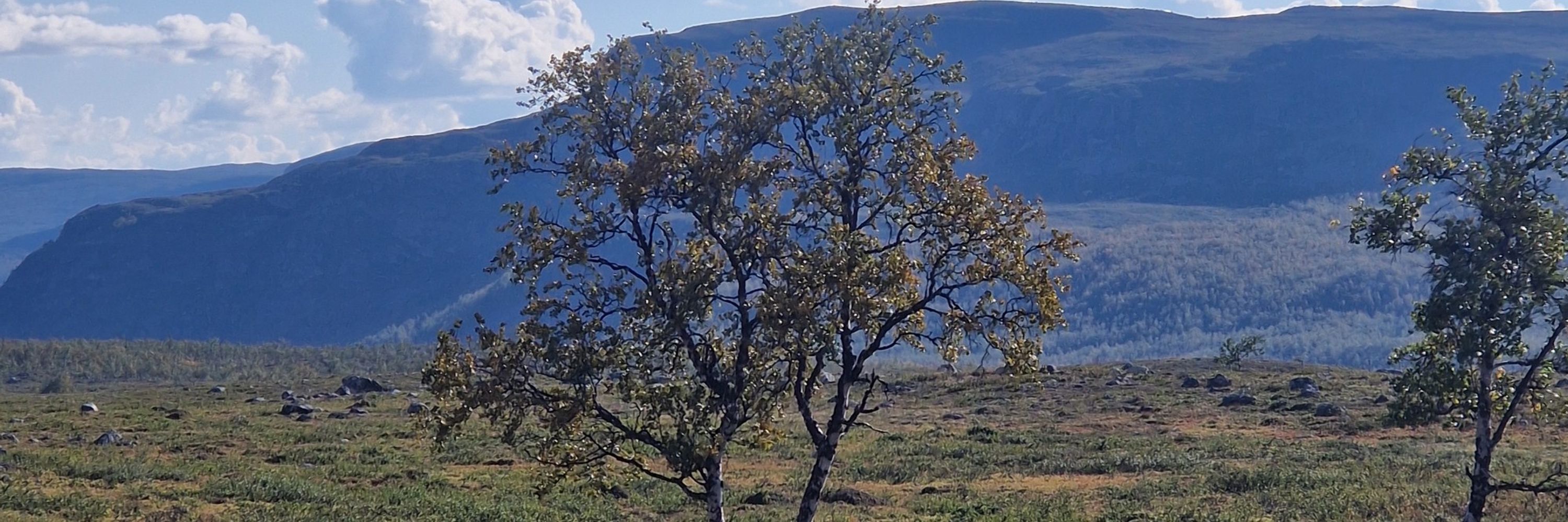 Inkeri Markkula