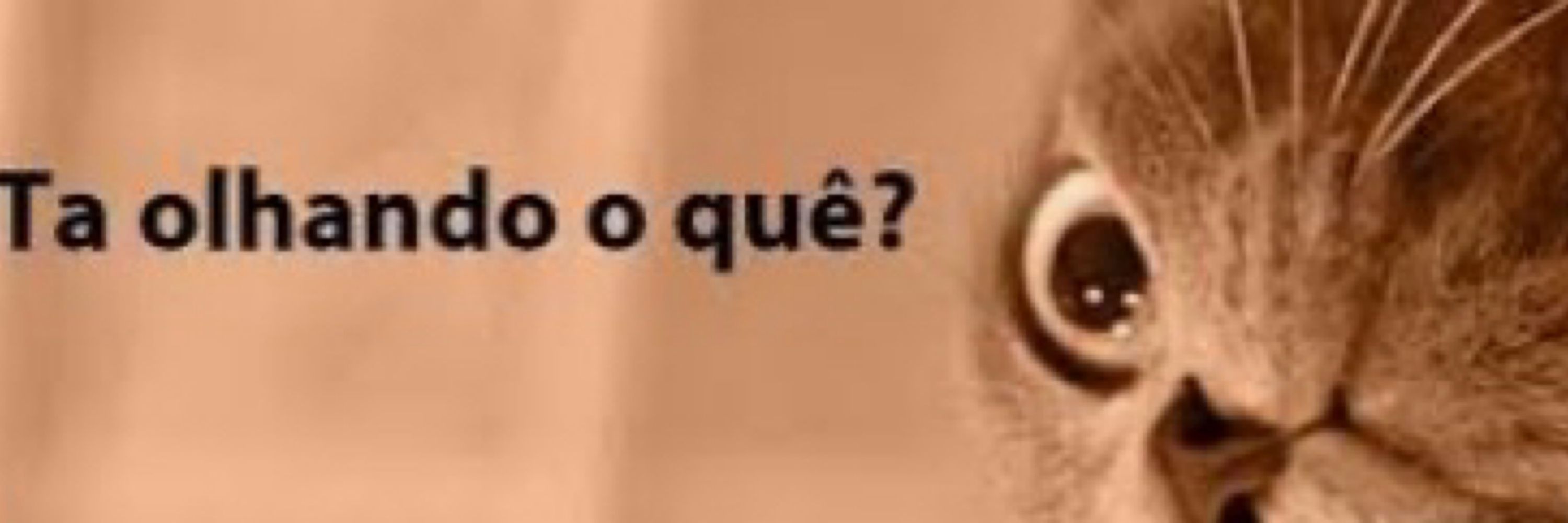 Andressa