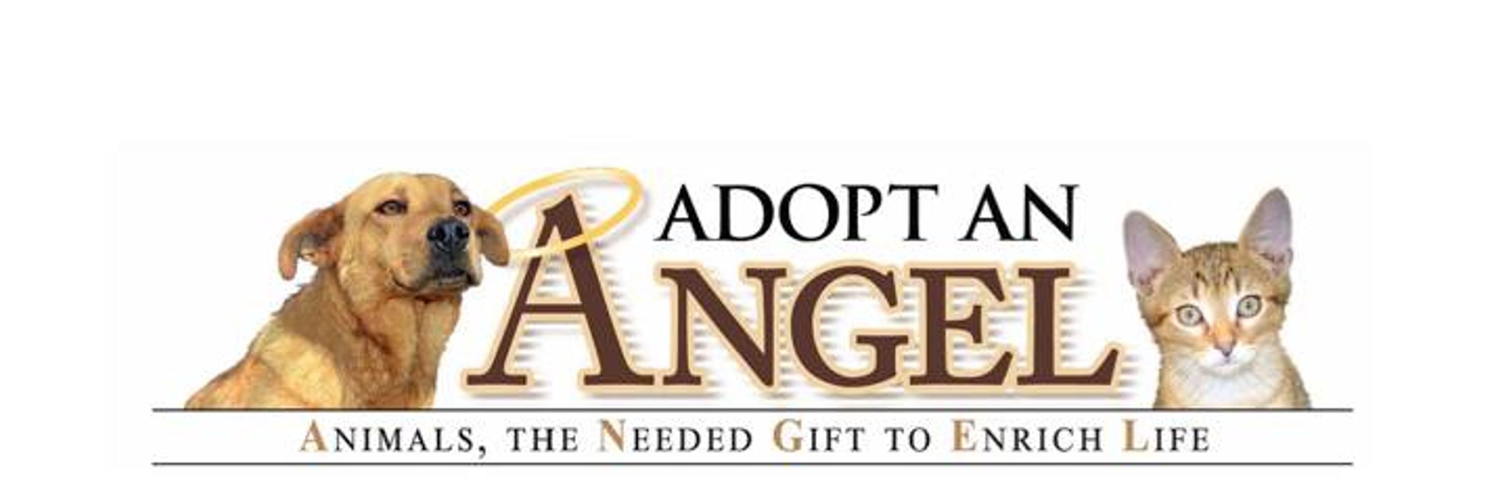 Adopt An Angel 