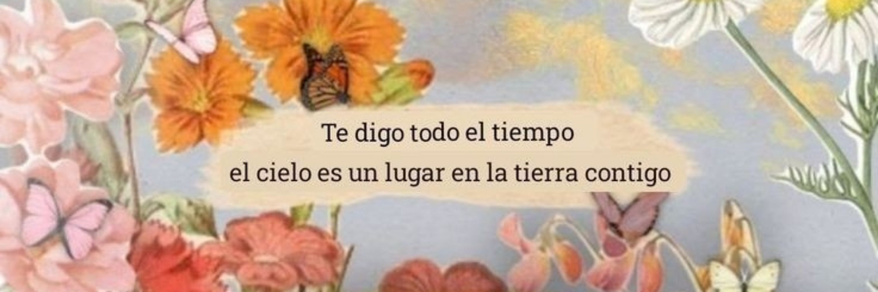 Rocio