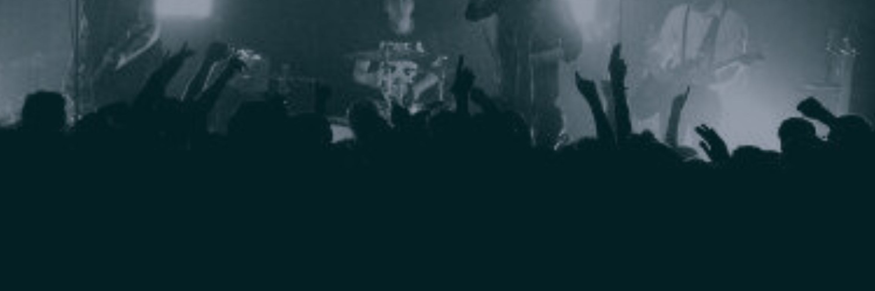 krachfink.de - reviews aus leidenschaft