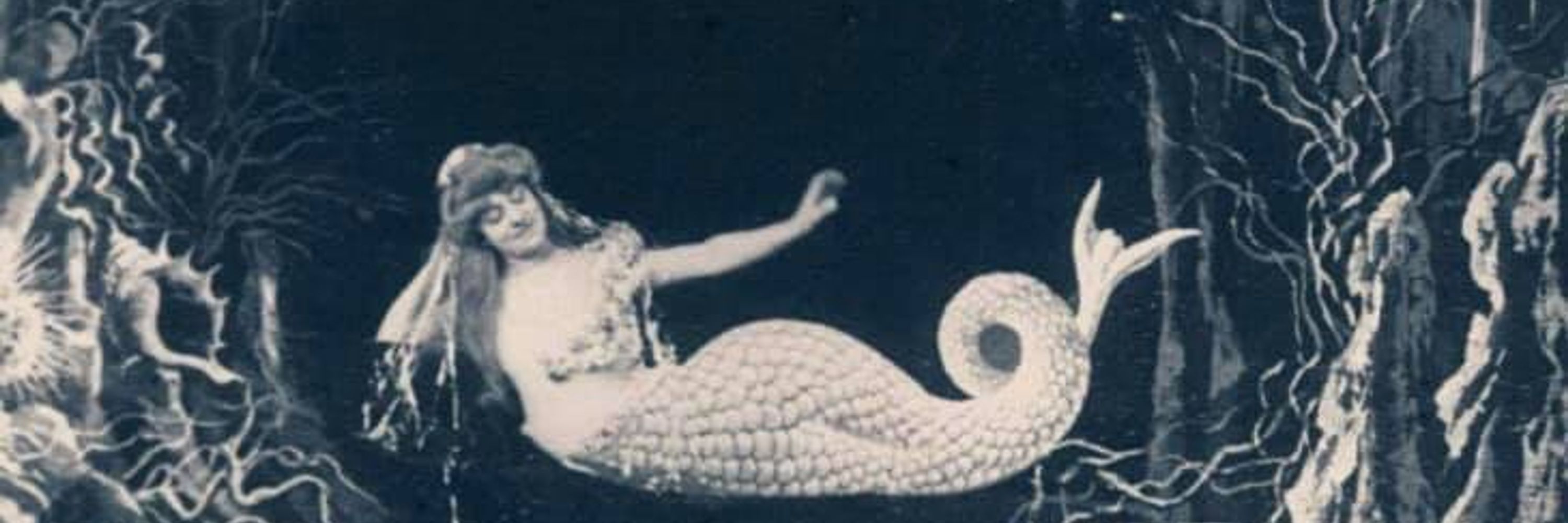 mune from antipodes