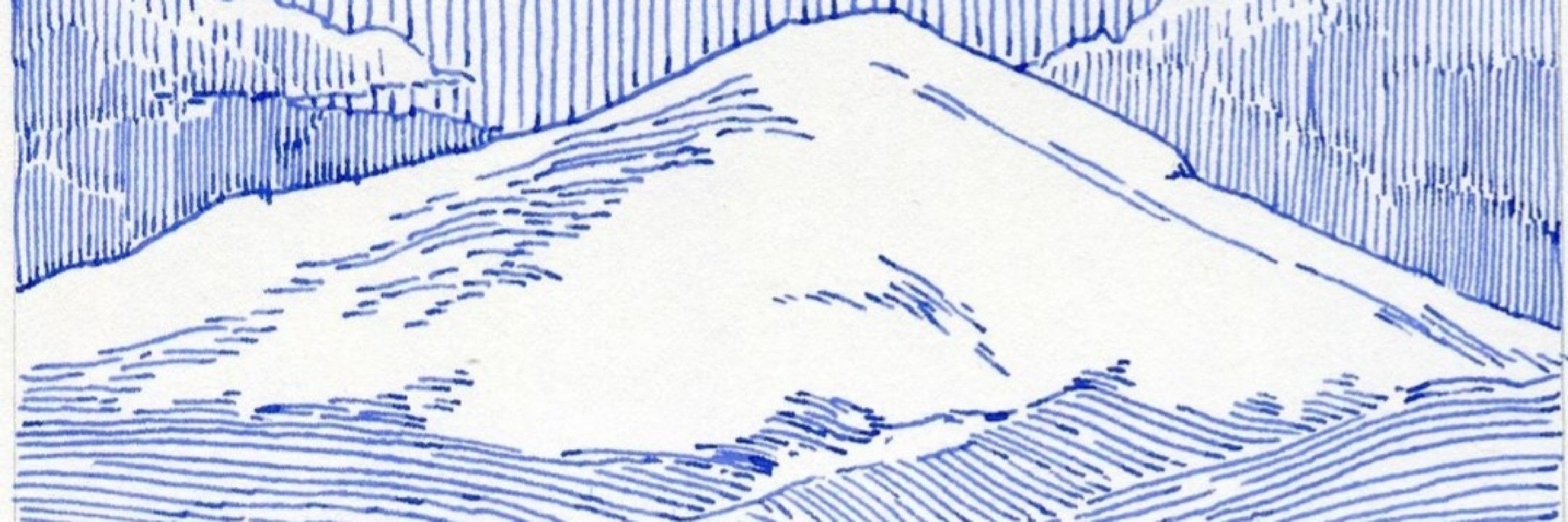 Andrea A.