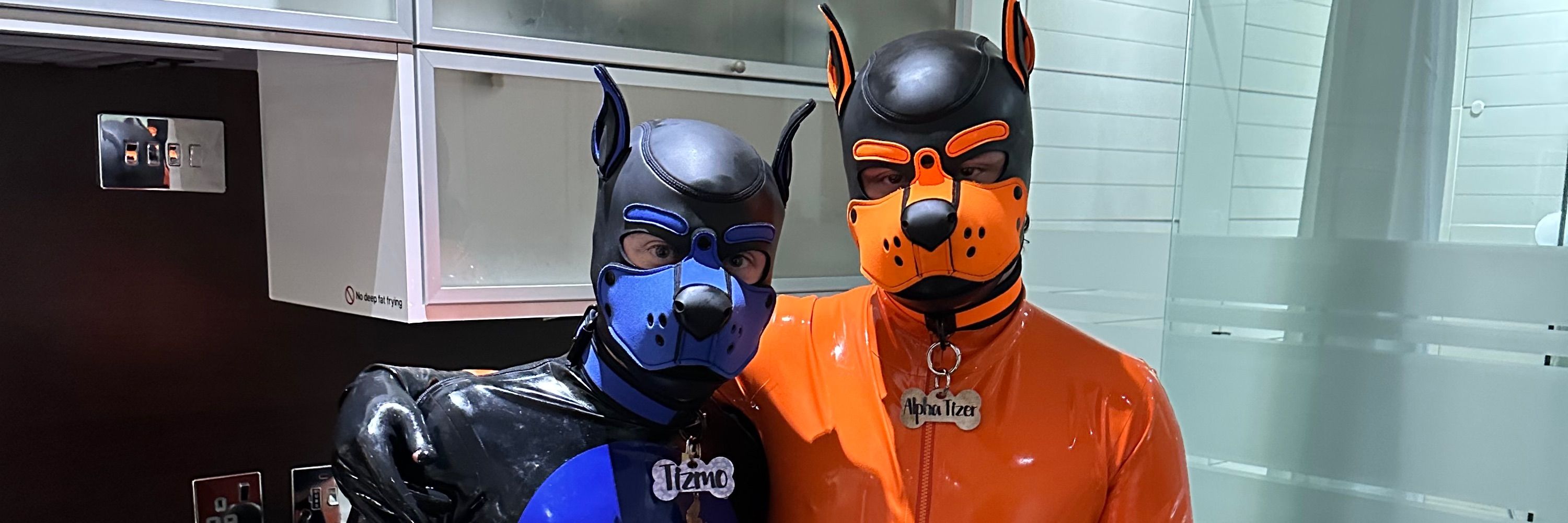 Pup tizer
