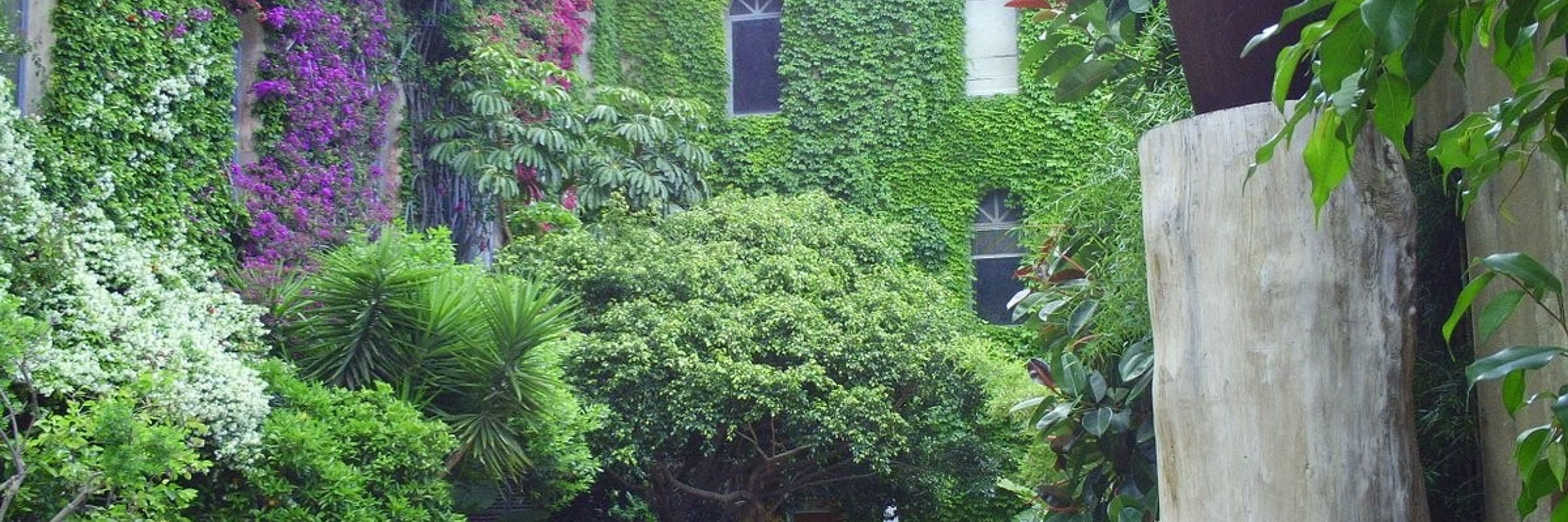 Fundación Palo Alto Barcelona 