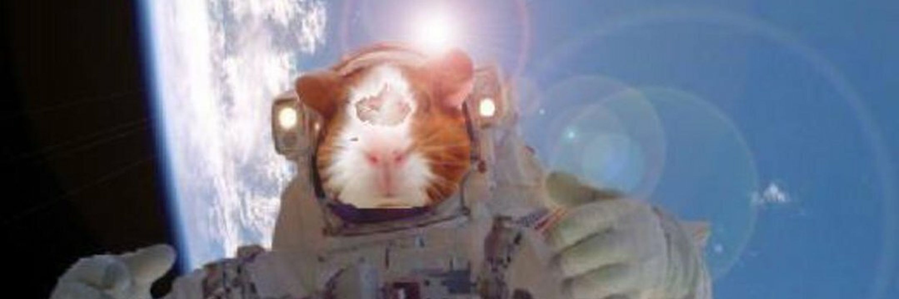 Piggleston Pecanpants