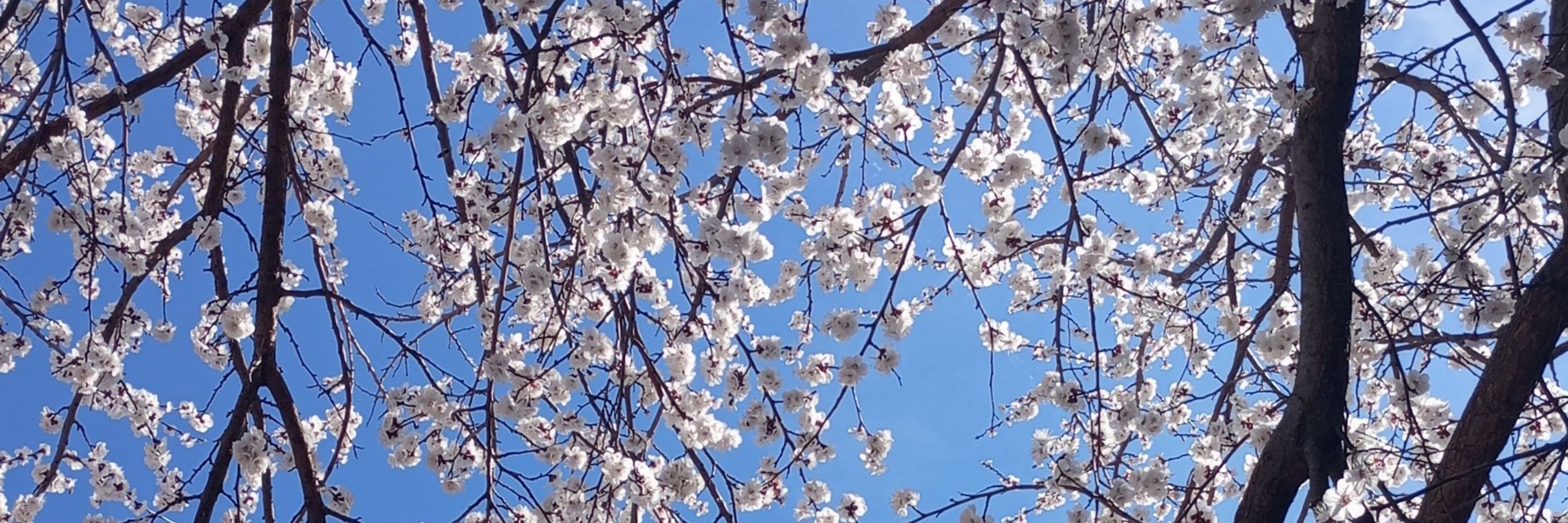 Mevsim Geçişleri Astrolojisi✨