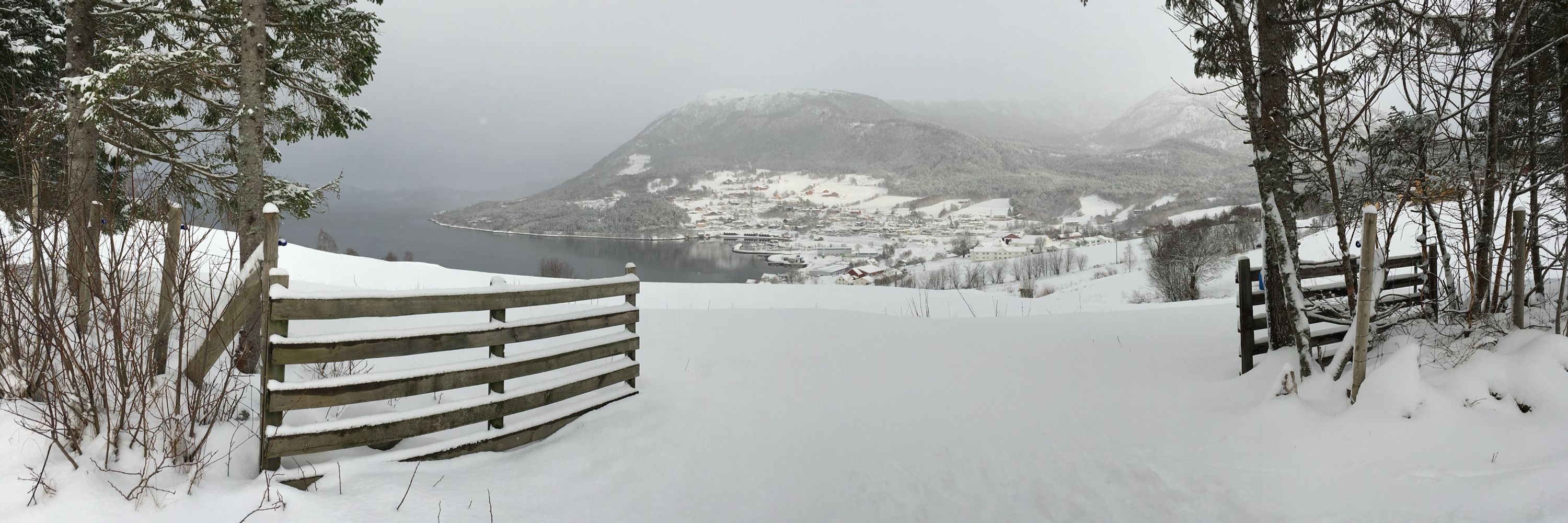 Tore Humstad
