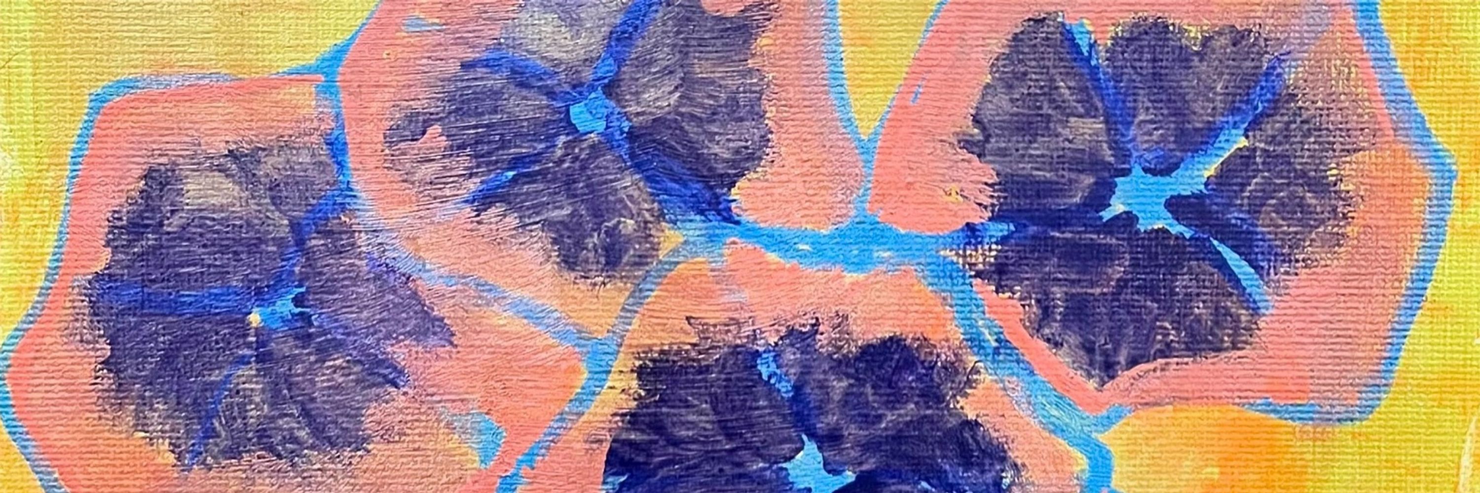 Amy Abts