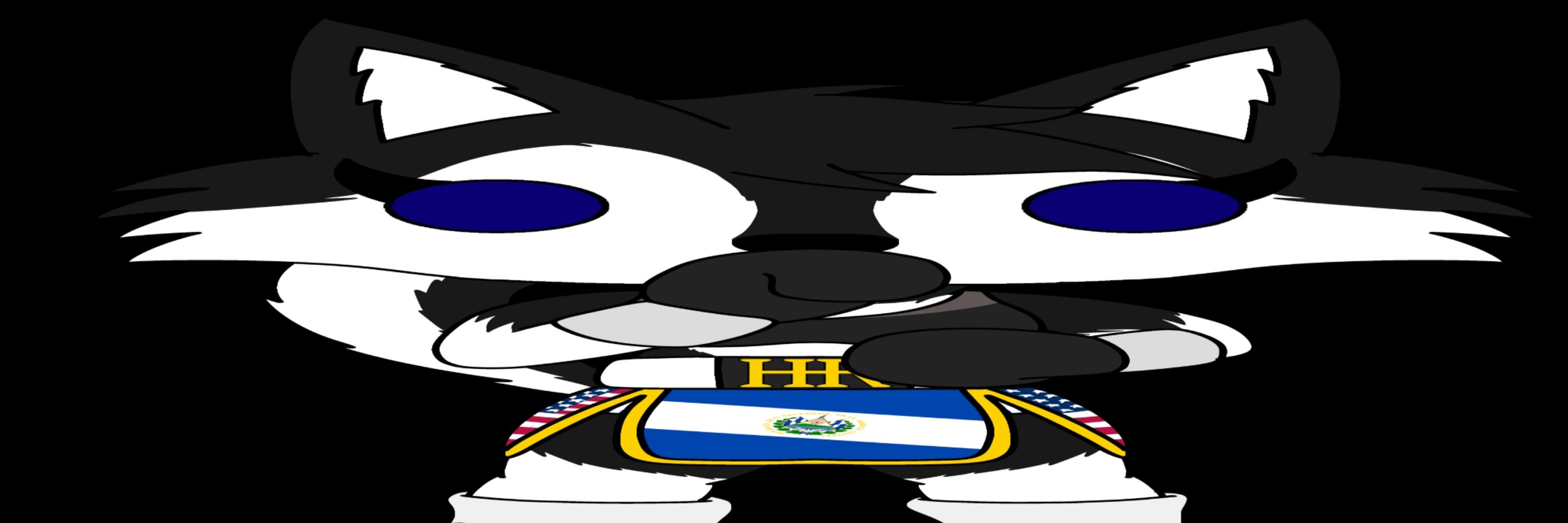 Luisardo 🇺🇸🇸🇻