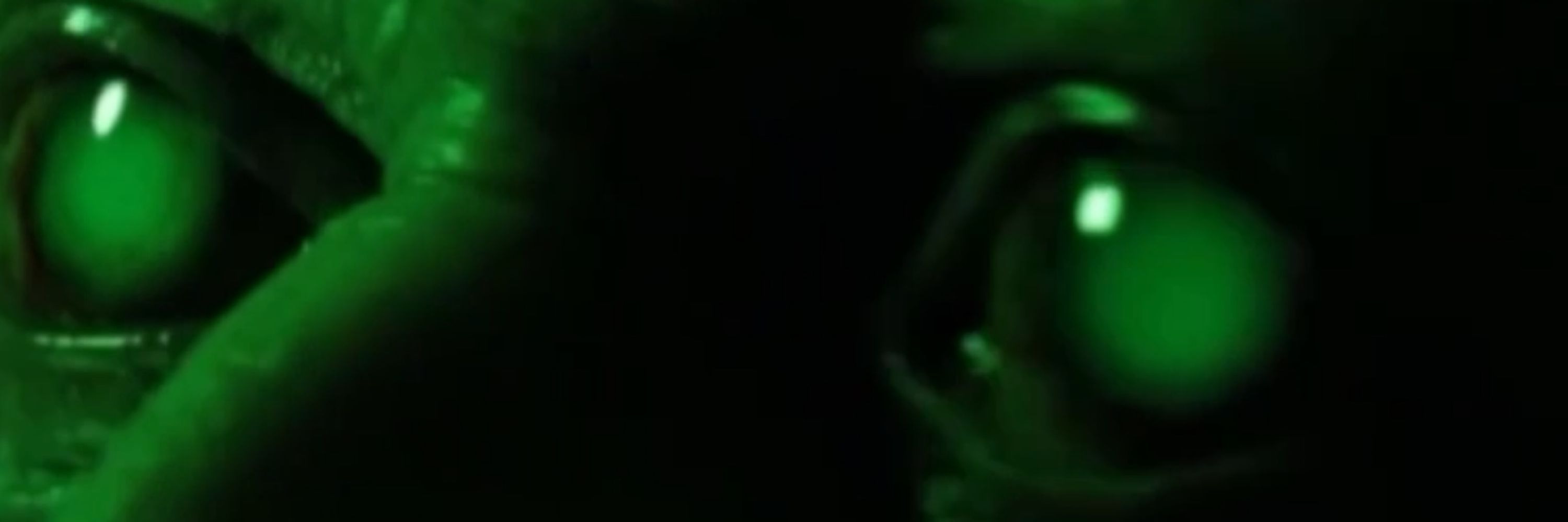 Jeffery Cox | Cellar Dweller FX