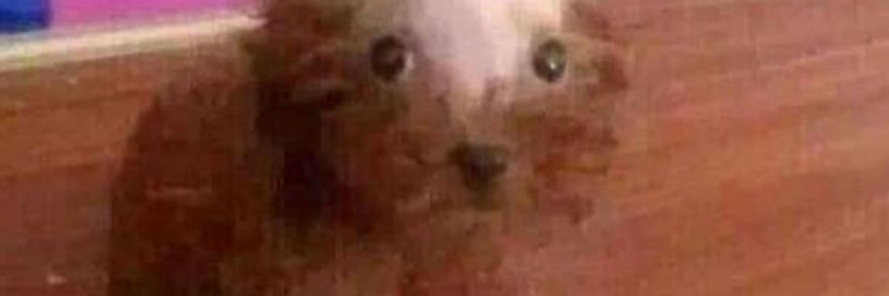 Niv gata soft