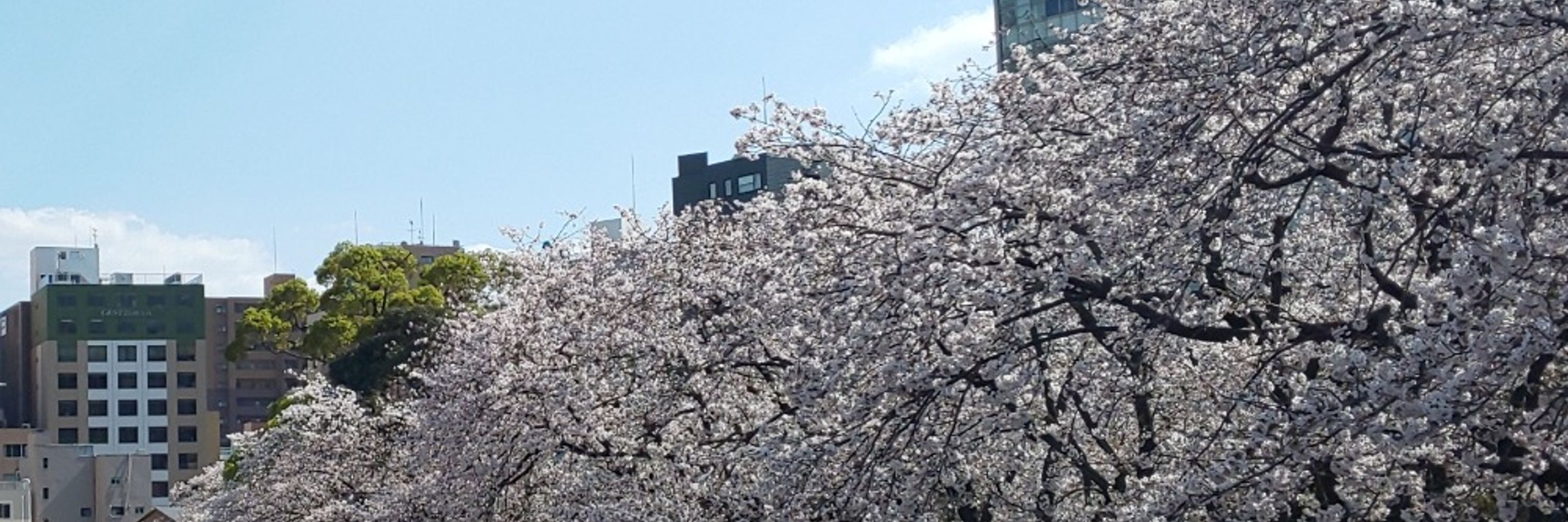 𝕏かめっくす𝕏