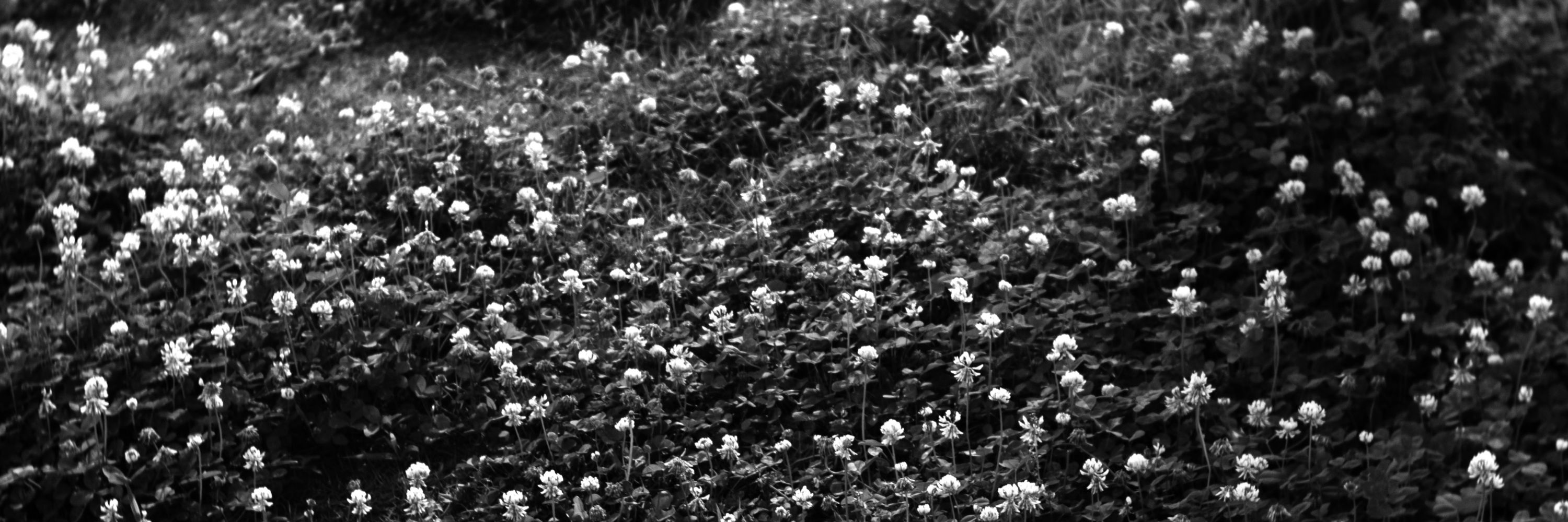Naoya   Photography 