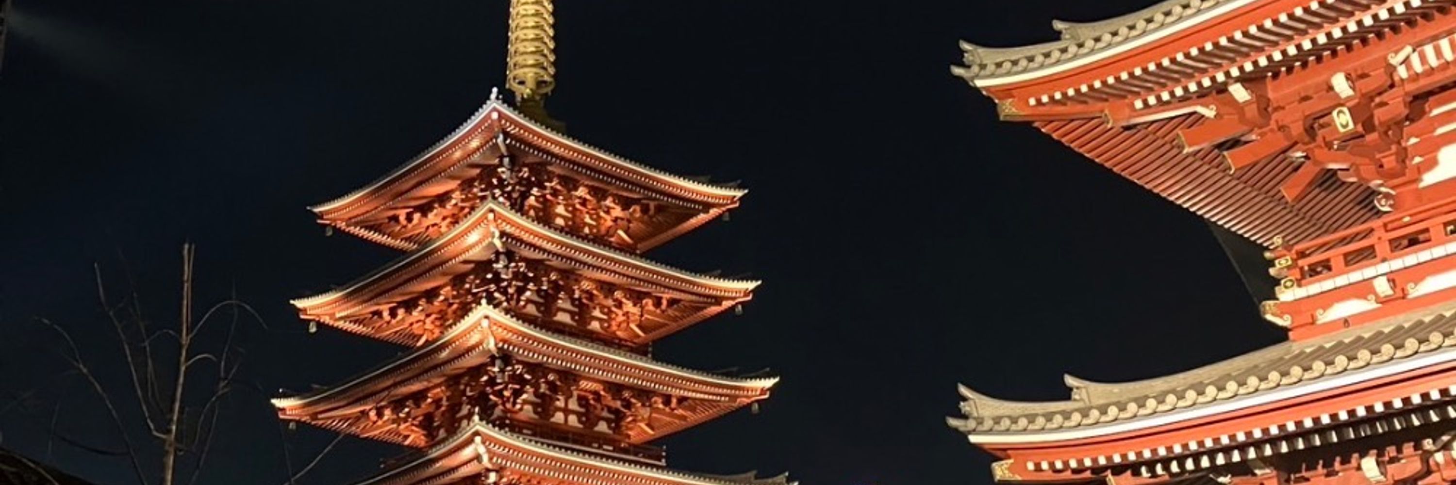 らがさん
