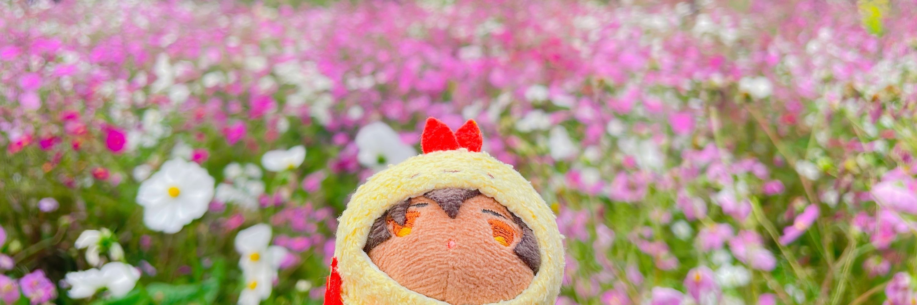 🌱うな🌱
