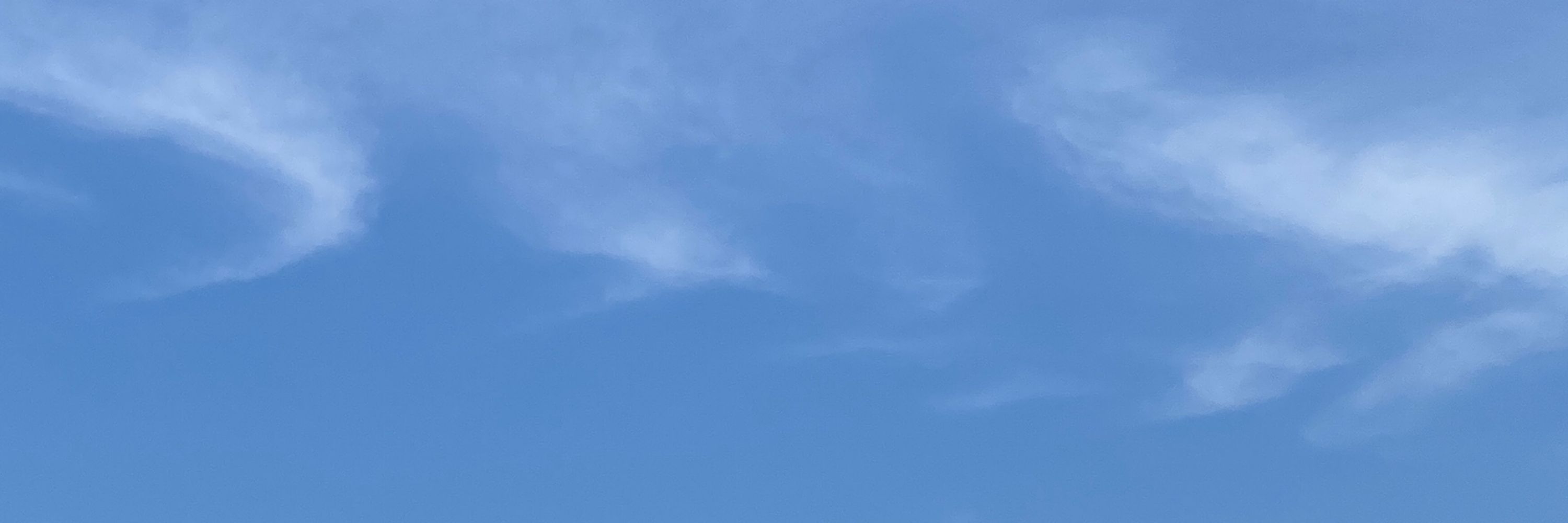 붉은