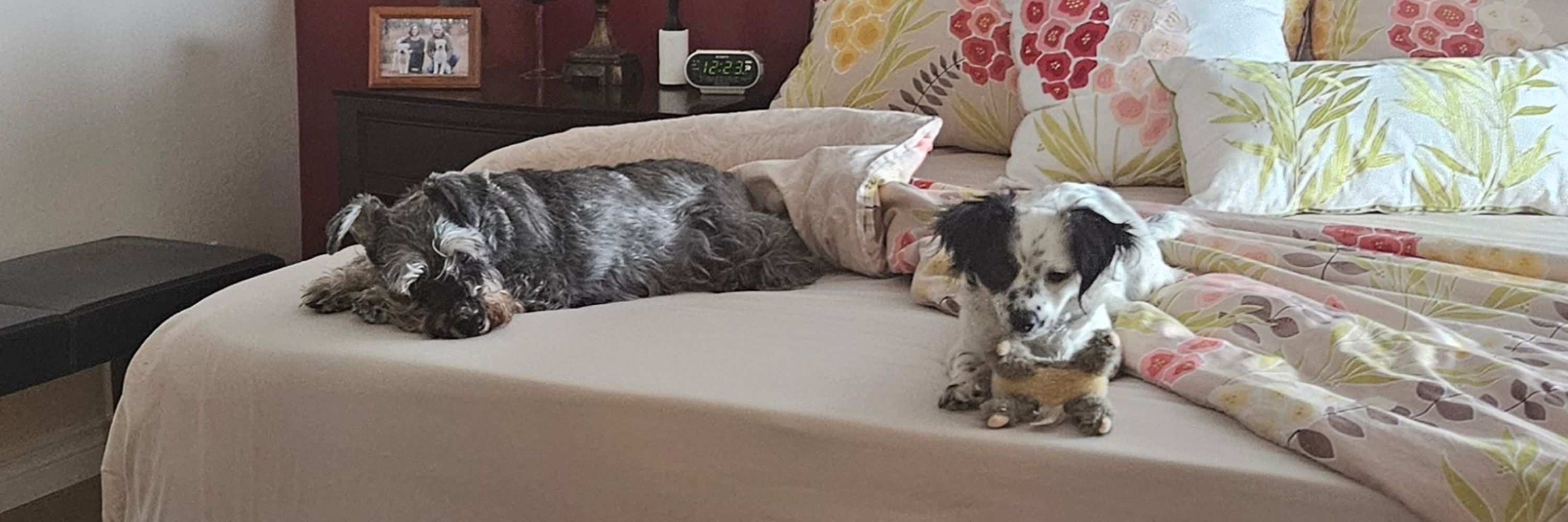 Ricky Bobby and Miss Lucy