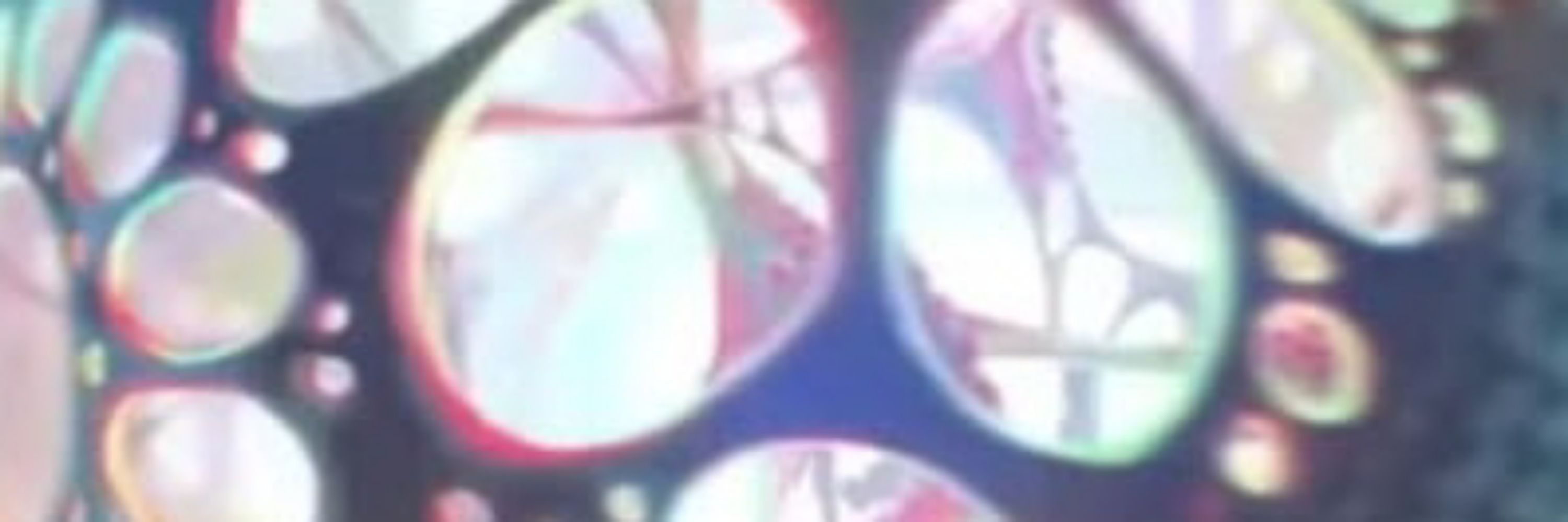 Timewolflp