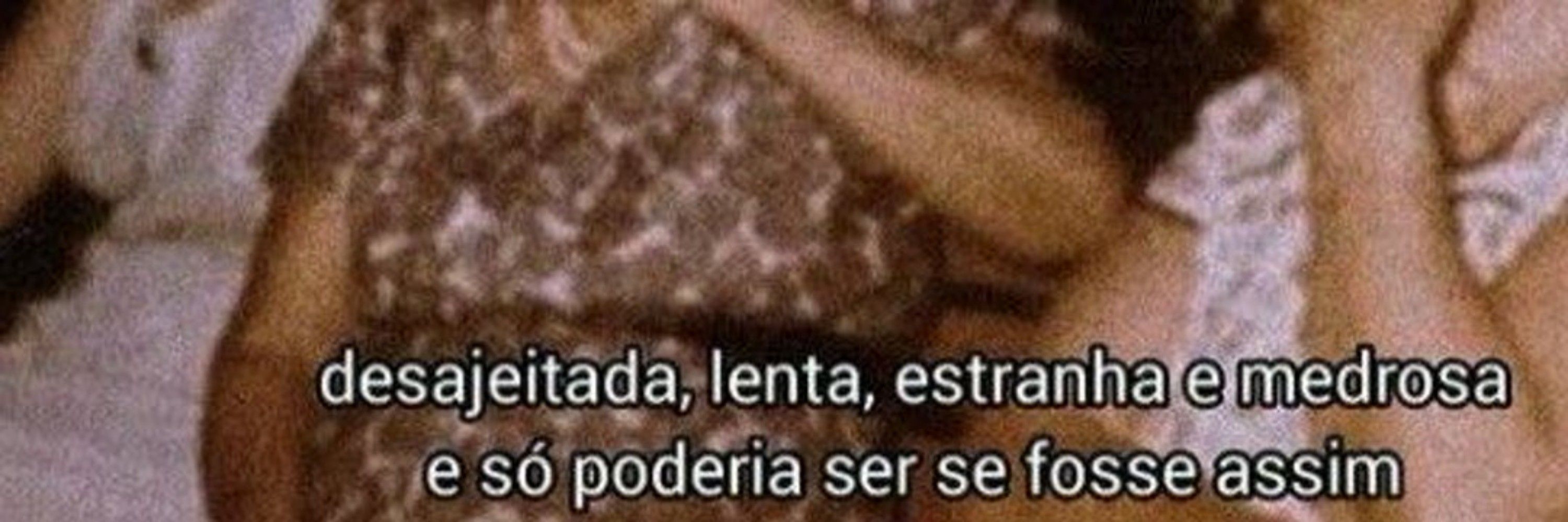 ⊹ ₊ ࣪𓏲 livs