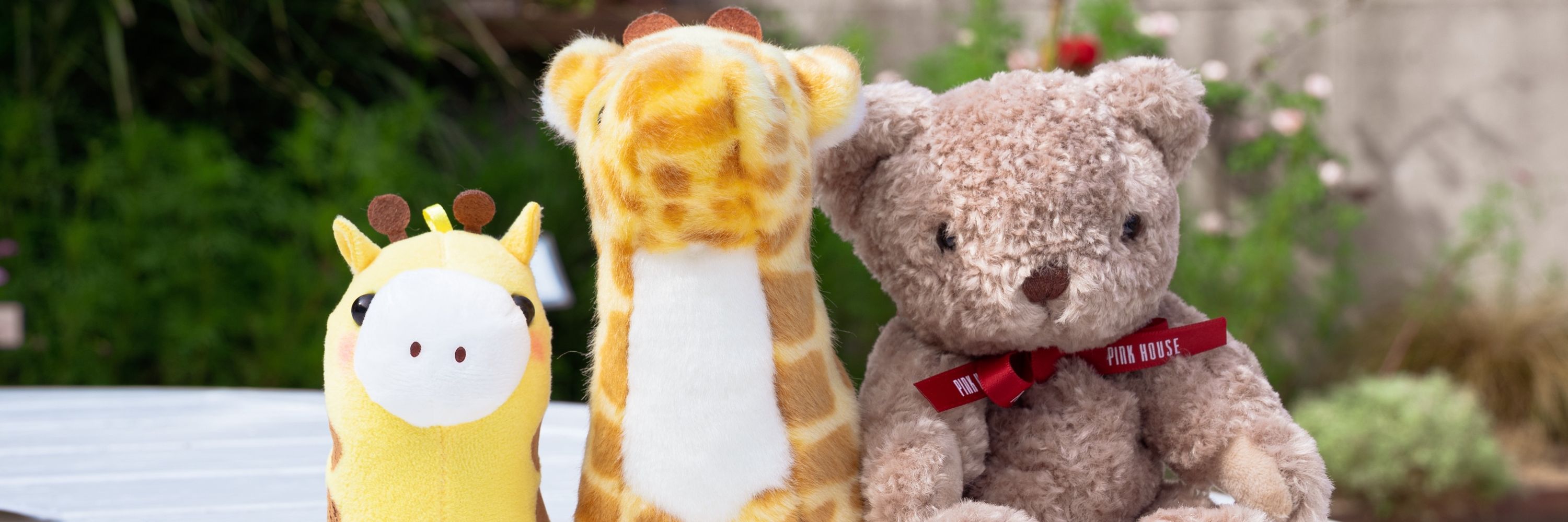 あすとら🦒