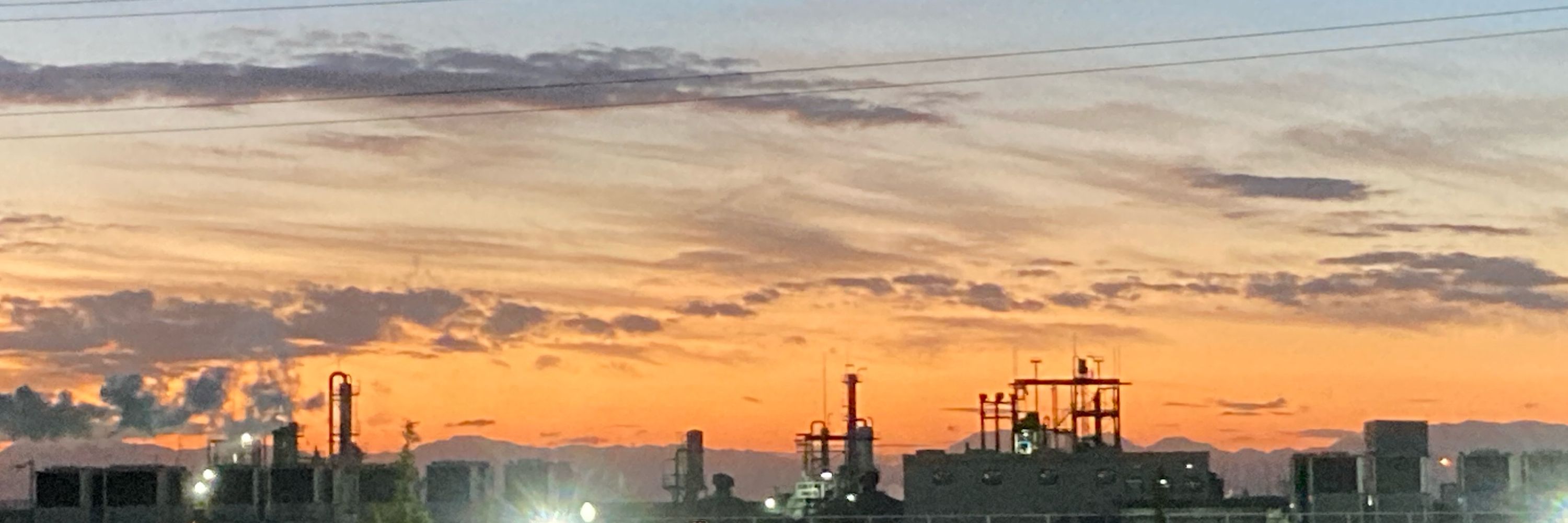 狐野