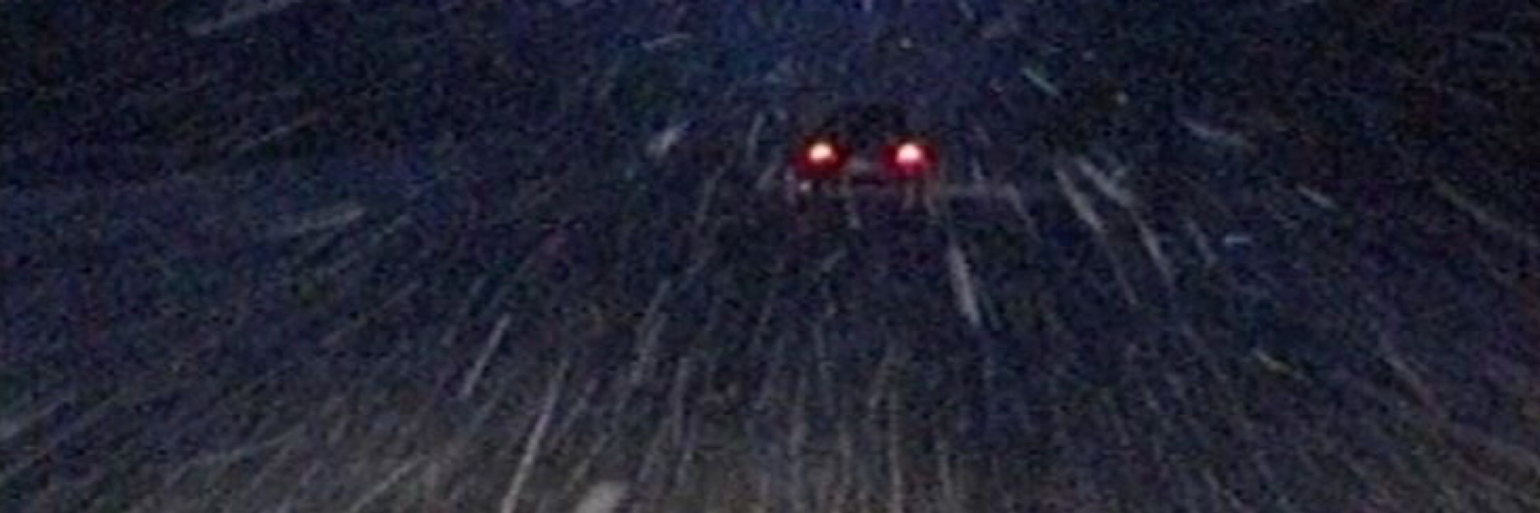 kivsyakichh