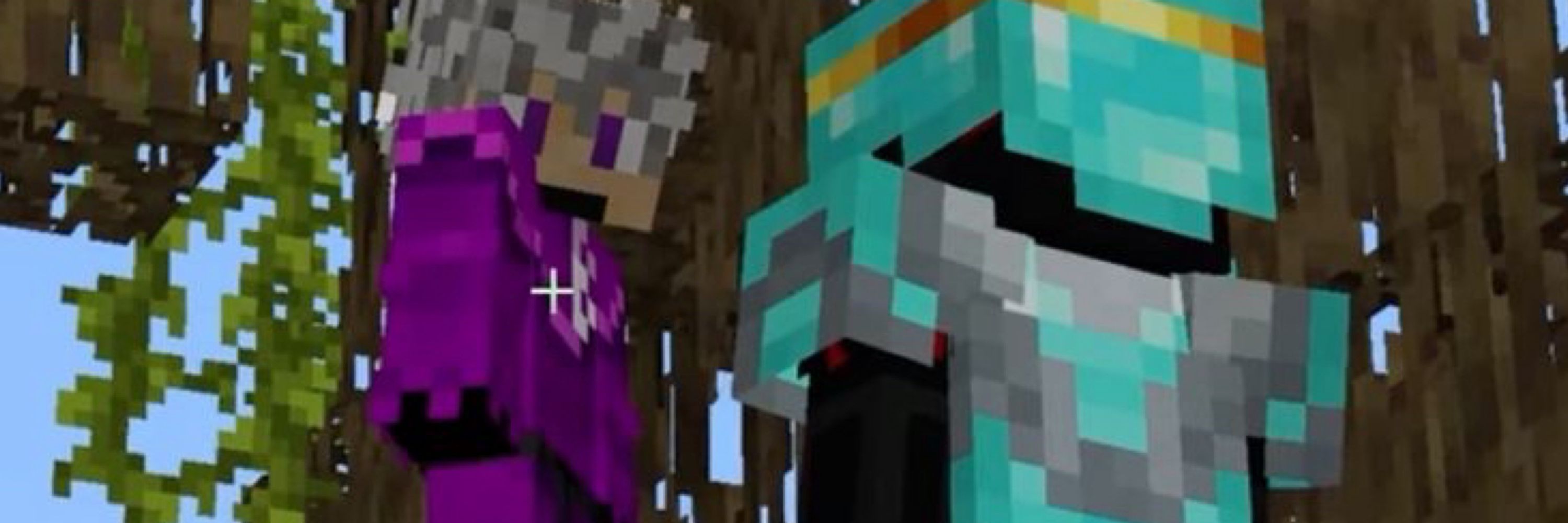Nulls wife(confirmed by mojang)🏳️‍🌈⃤———