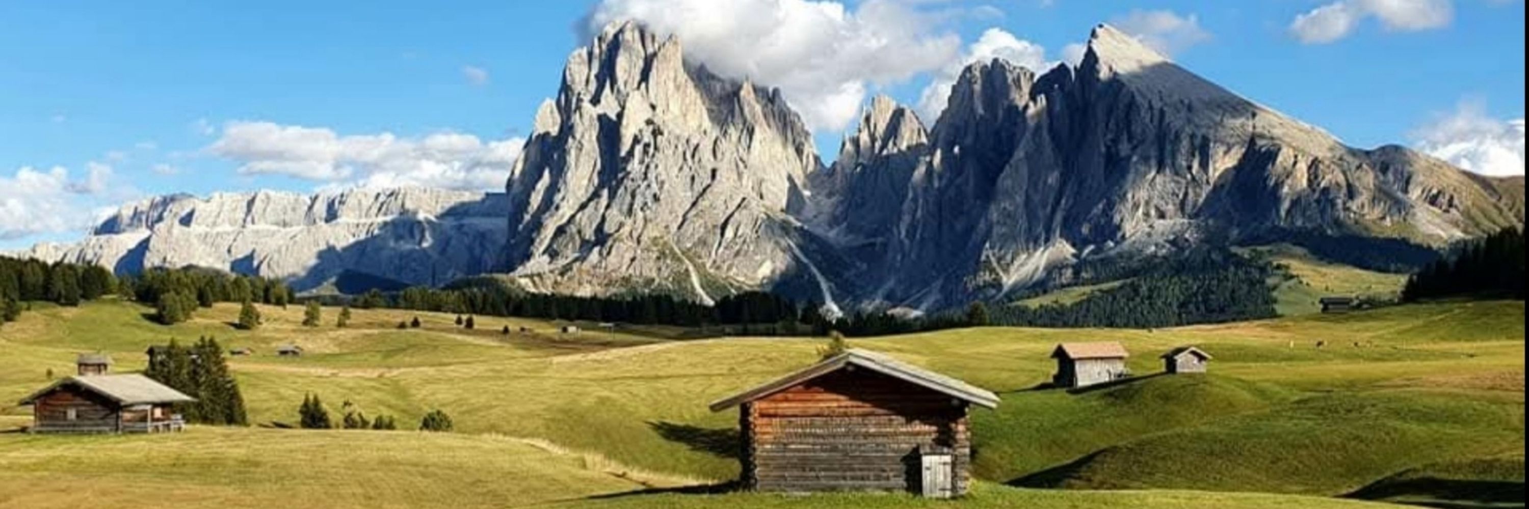 Pasi Salo