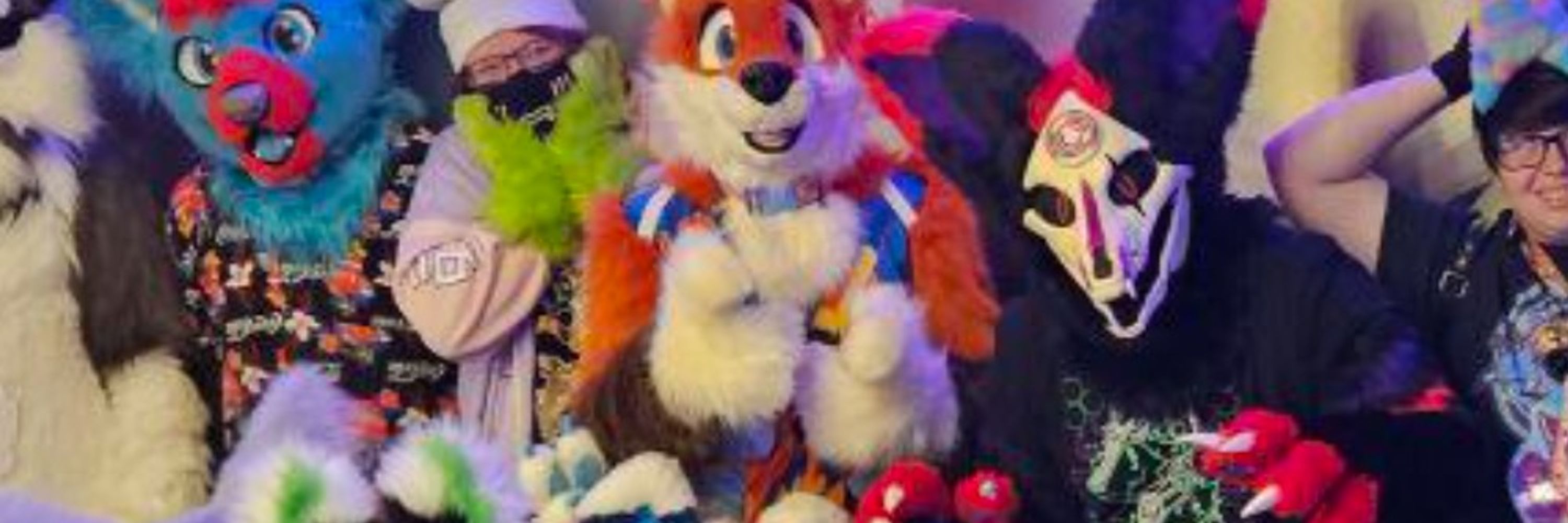 Gingivere Fox