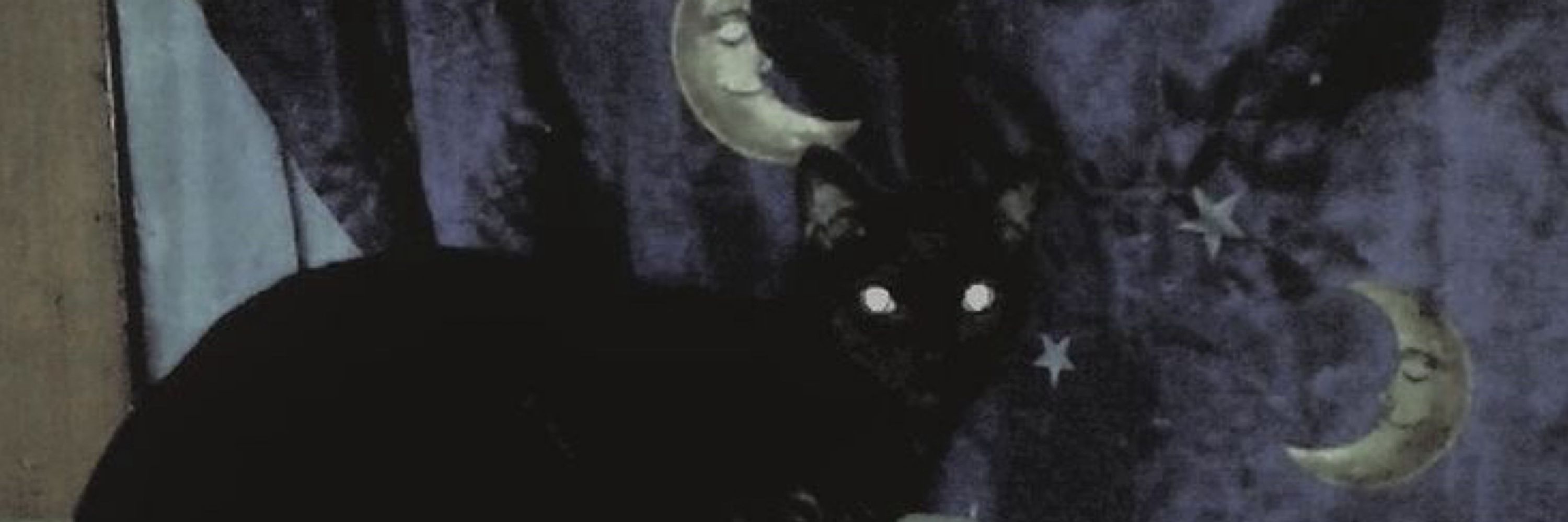 miumiu 