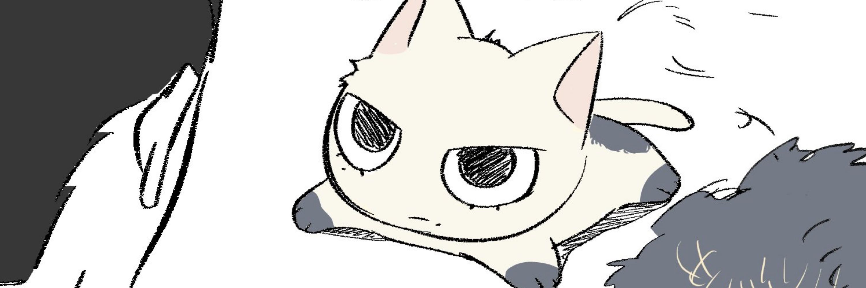 Ain