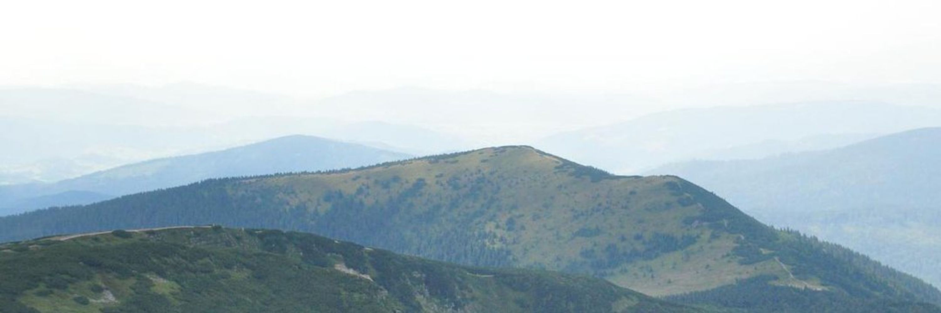 Paweł Pyrek