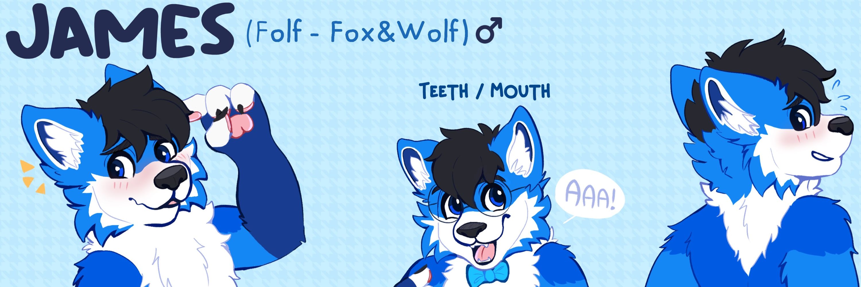 JamesTheFolf