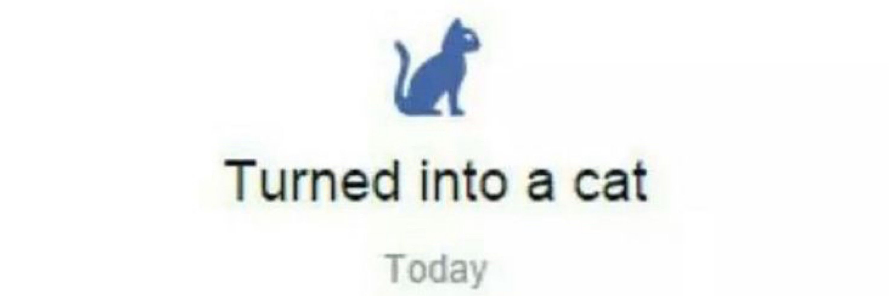 m 🫶🏻