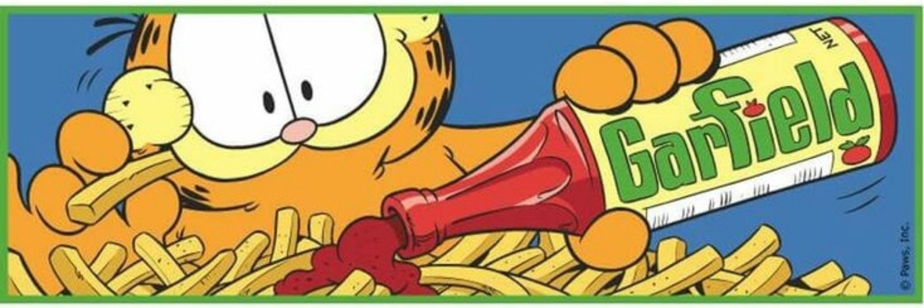 fã do garfield 