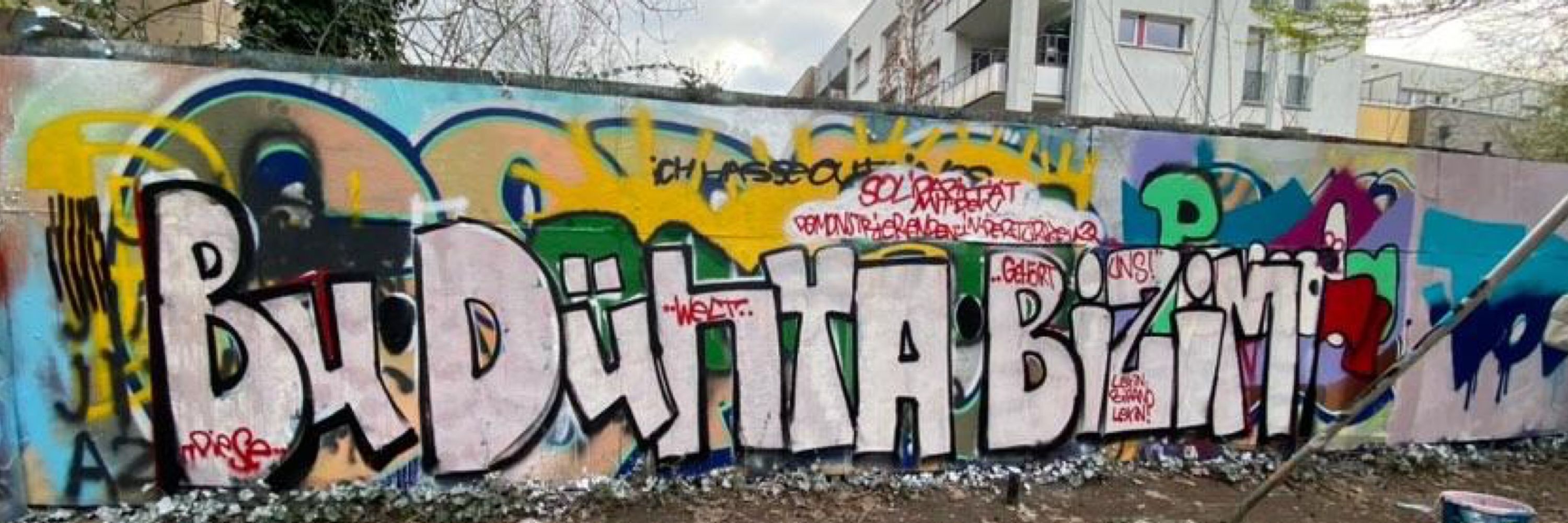 berfin yıldırım