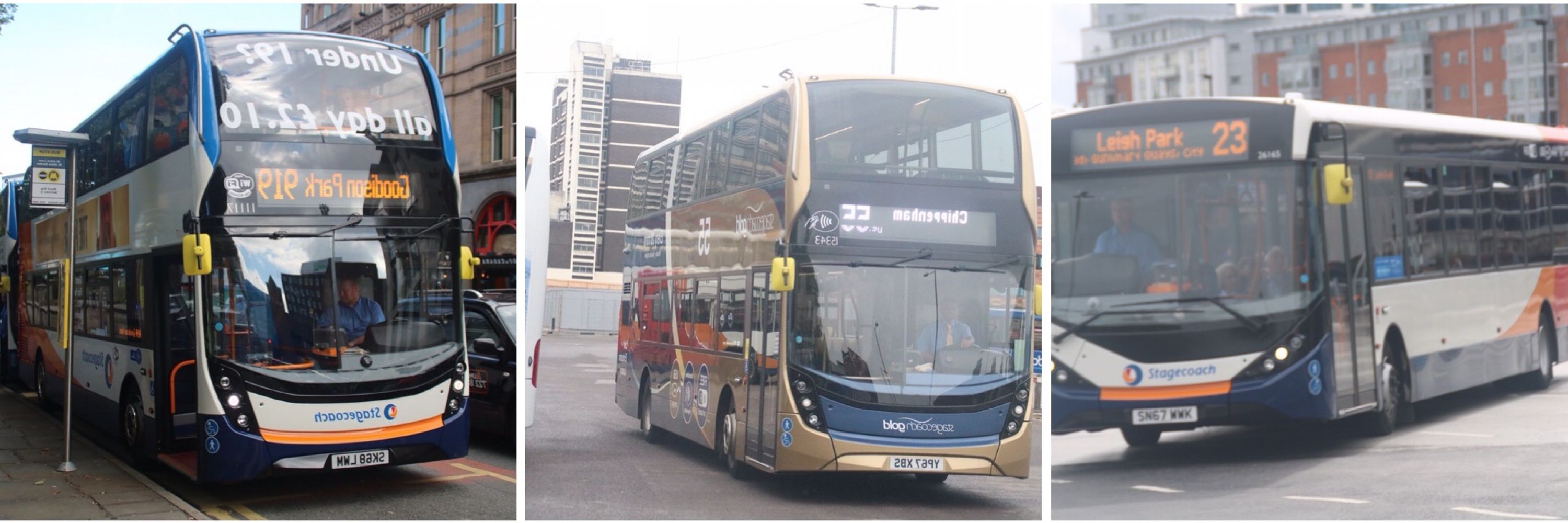PJD57301