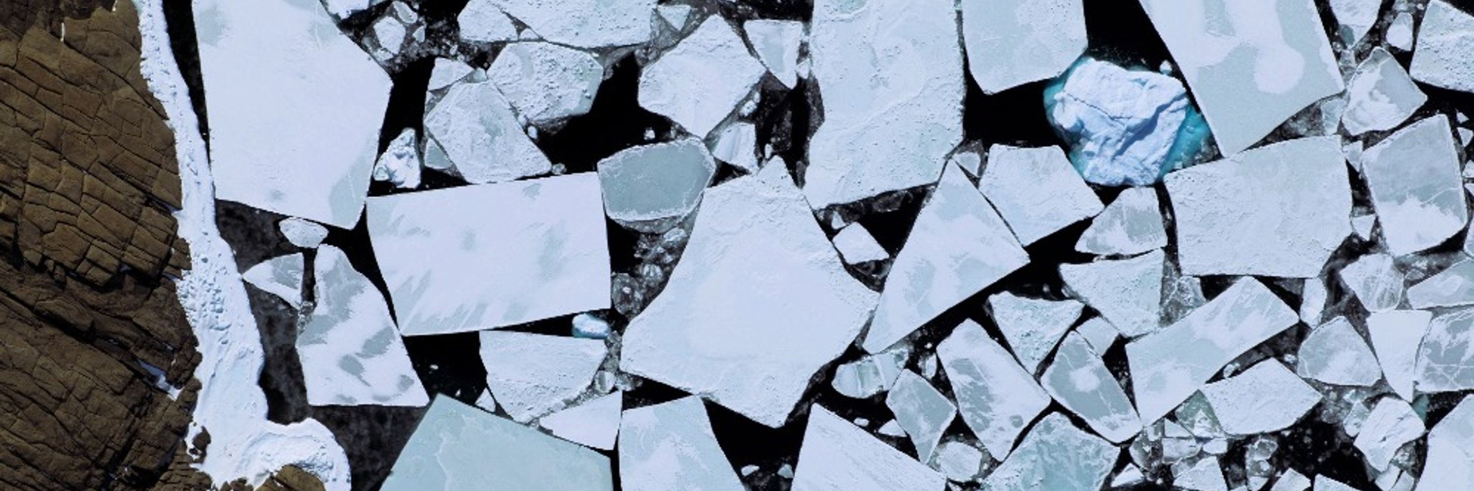 Australian Antarctic Program Partnership